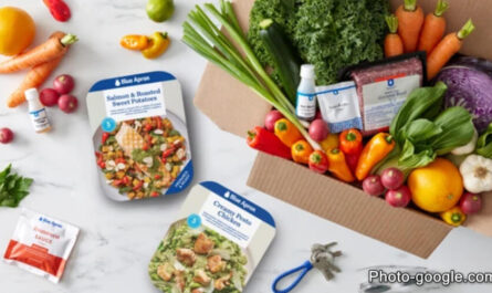 gourmet meal kits